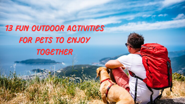 13 Fun Outdoor Activities for Pets to Enjoy Together