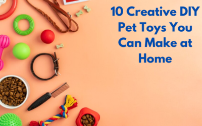 10 Creative DIY Pet Toys You Can Make at Home