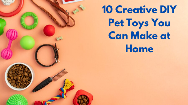 10 Creative DIY Pet Toys You Can Make at Home