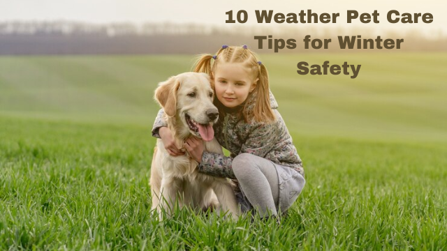 10 Weather Pet Care Tips for Winter Safety