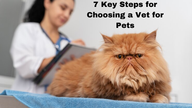 7 Key Steps for Choosing a Vet for Pets