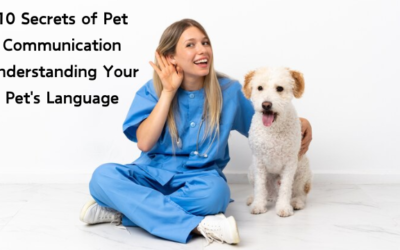 10 Secrets of Pet Communication Understanding Your Pet’s Language