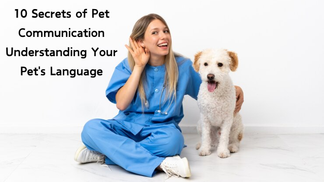 10 Secrets of Pet Communication Understanding Your Pet’s Language