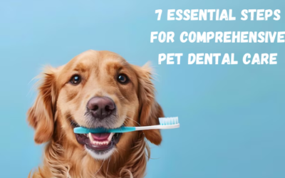 7 Essential Steps for Comprehensive Pet Dental Care