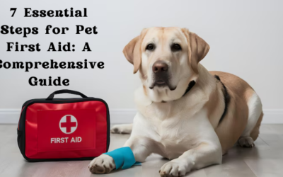 7 Essential Steps for Pet First Aid: A Comprehensive Guide